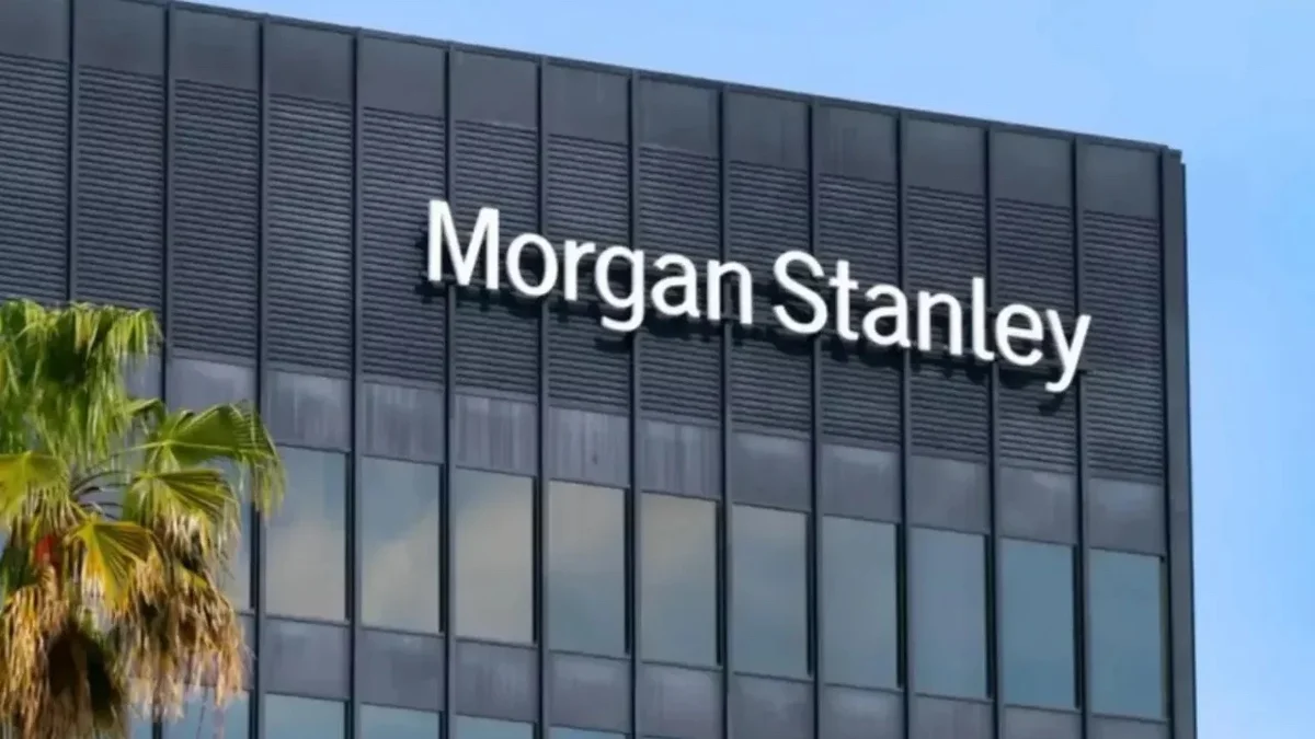 Morgan Stanley советует проявлять осторожность с турецкой лирой